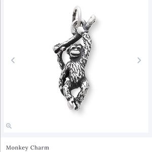 Monkey Charm- James Avery